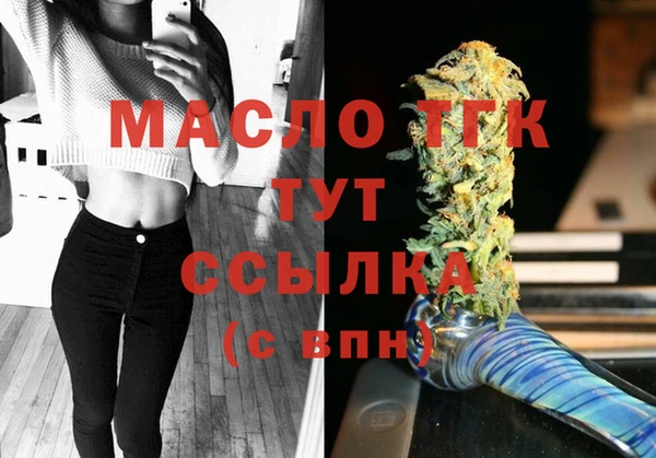 дживик Магас