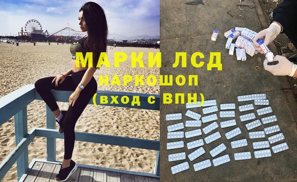 дживик Магас