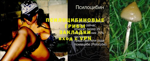 дживик Магас