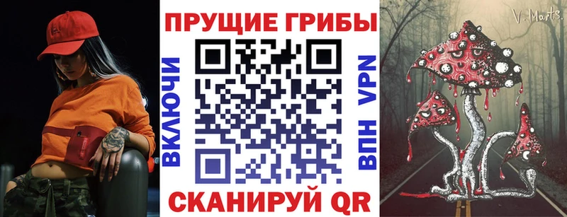 Псилоцибиновые грибы GOLDEN TEACHER Ахтырский